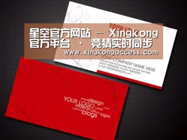 项目名称八