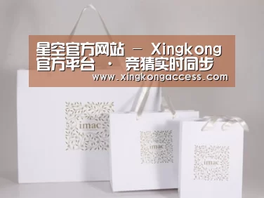项目名称十一