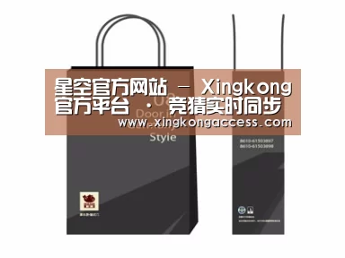 项目名称十四