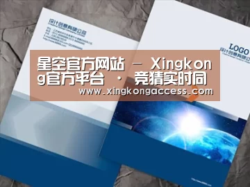 项目名称十