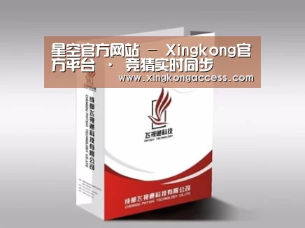 项目名称十三