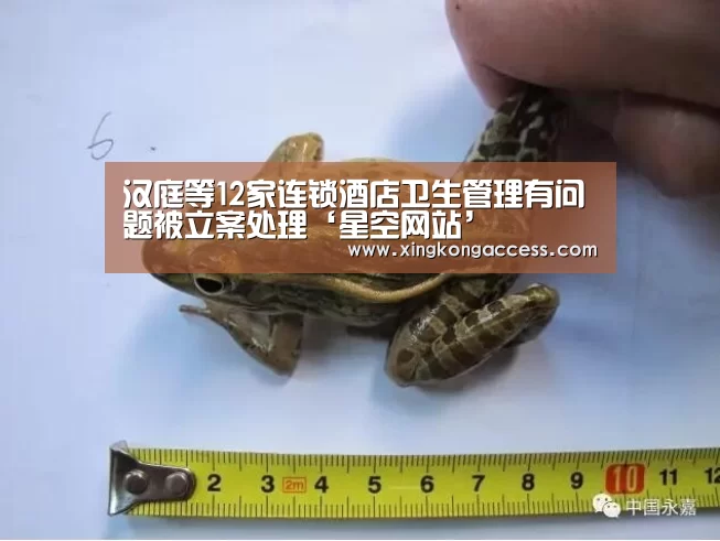 汉庭等12家连锁酒店卫生管理有问题被立案处理‘星空网站’(图3) 星空赛事