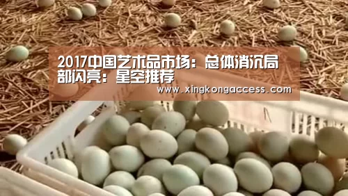 2017中国艺术品市场:总体消沉局部闪亮:星空推荐(图2) 星空网站