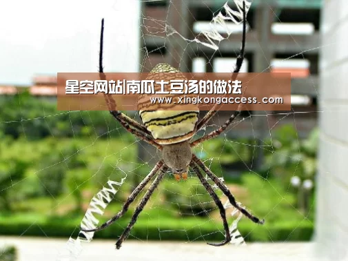 星空网站|南瓜土豆汤的做法(图3) 星空网站
