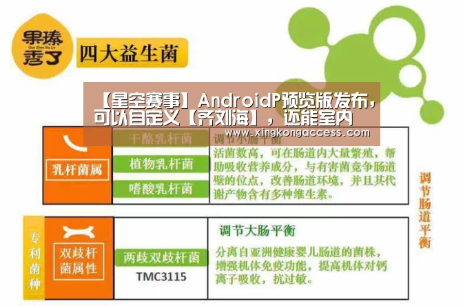 【星空赛事】AndroidP预览版发布,可以自定义【齐刘海】,还能室内导航(图2) 星空热点