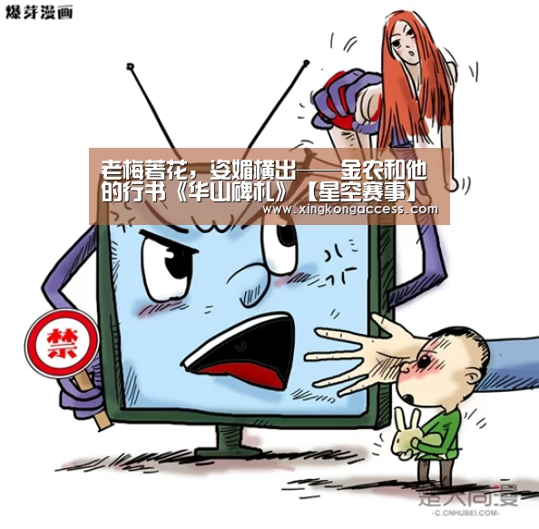 老梅著花,姿媚横出——金农和他的行书《华山碑札》【星空赛事】(图2) 星空网站