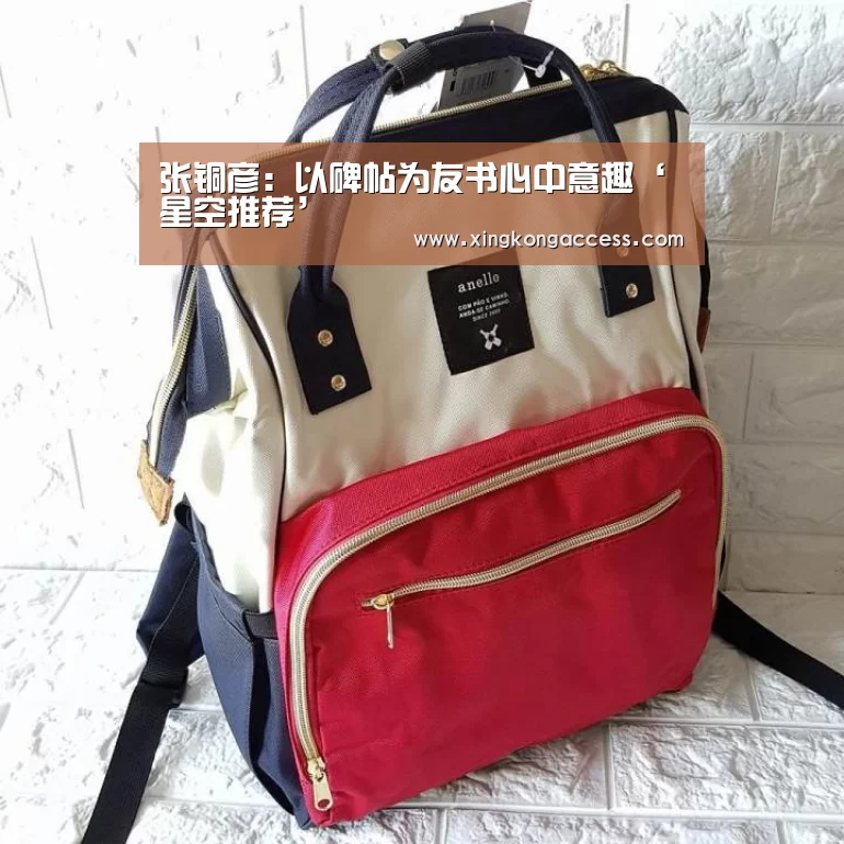 张铜彦:以碑帖为友书心中意趣‘星空推荐’(图2) 星空推荐