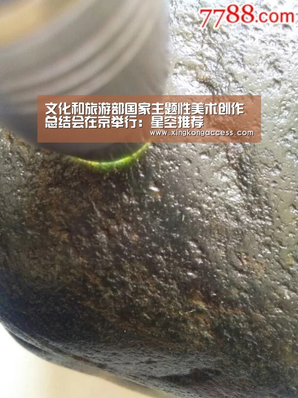 文化和旅游部国家主题性美术创作总结会在京举行:星空推荐(图4) 星空热点