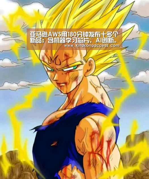 亚马逊AWS用180分钟发布十多个新品:含机器学习芯片、AI创新、区块链|re:Invent“星空网站”(图1) 星空热点