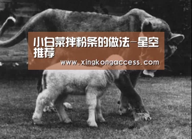 小白菜拌粉条的做法-星空推荐(图2) 星空赛事