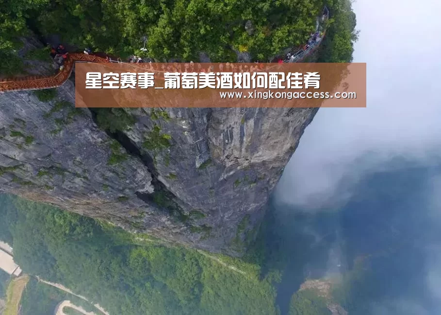 星空赛事_葡萄美酒如何配佳肴(图1) 星空赛事