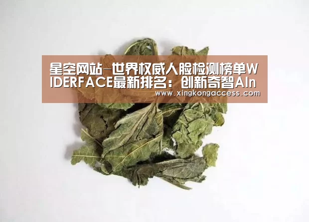 星空推荐